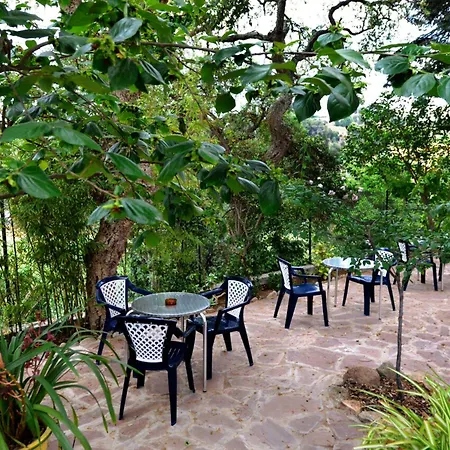 Hostal Magnolia-3